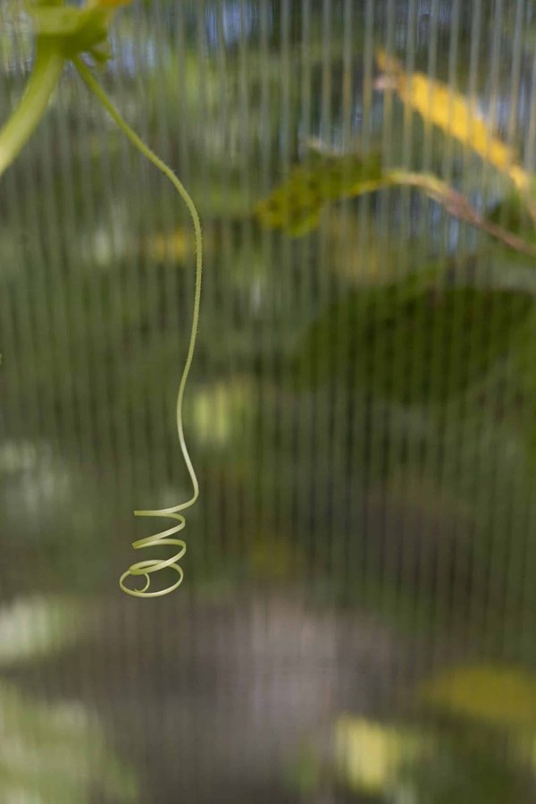 How Can Brick-and-Mortar Stores Thrive in the Era of Online Shopping?